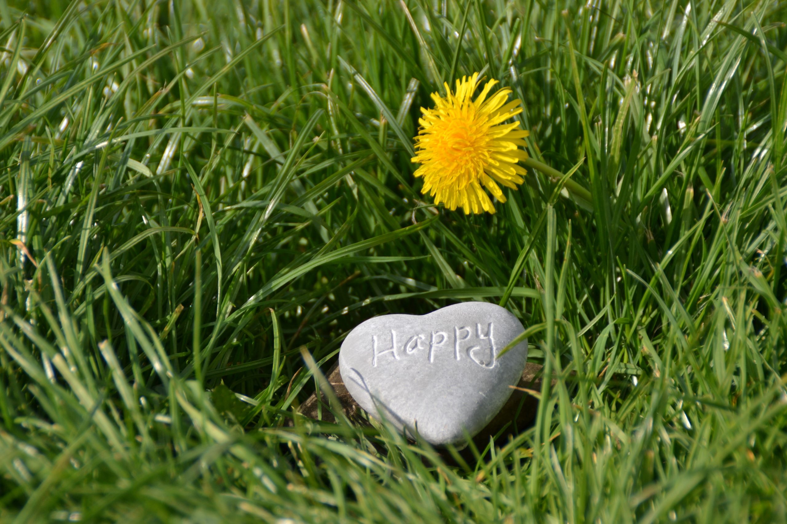 A heart shaped rock in grass.