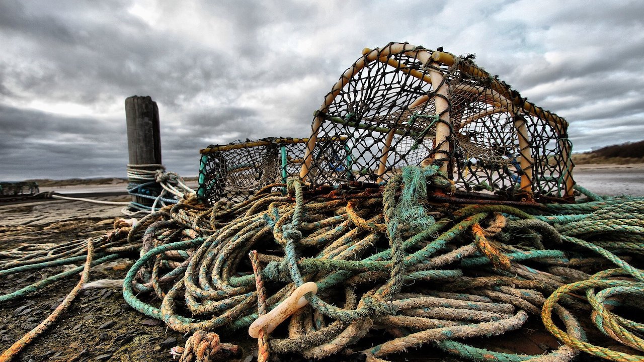 Fishing traps and ropes.