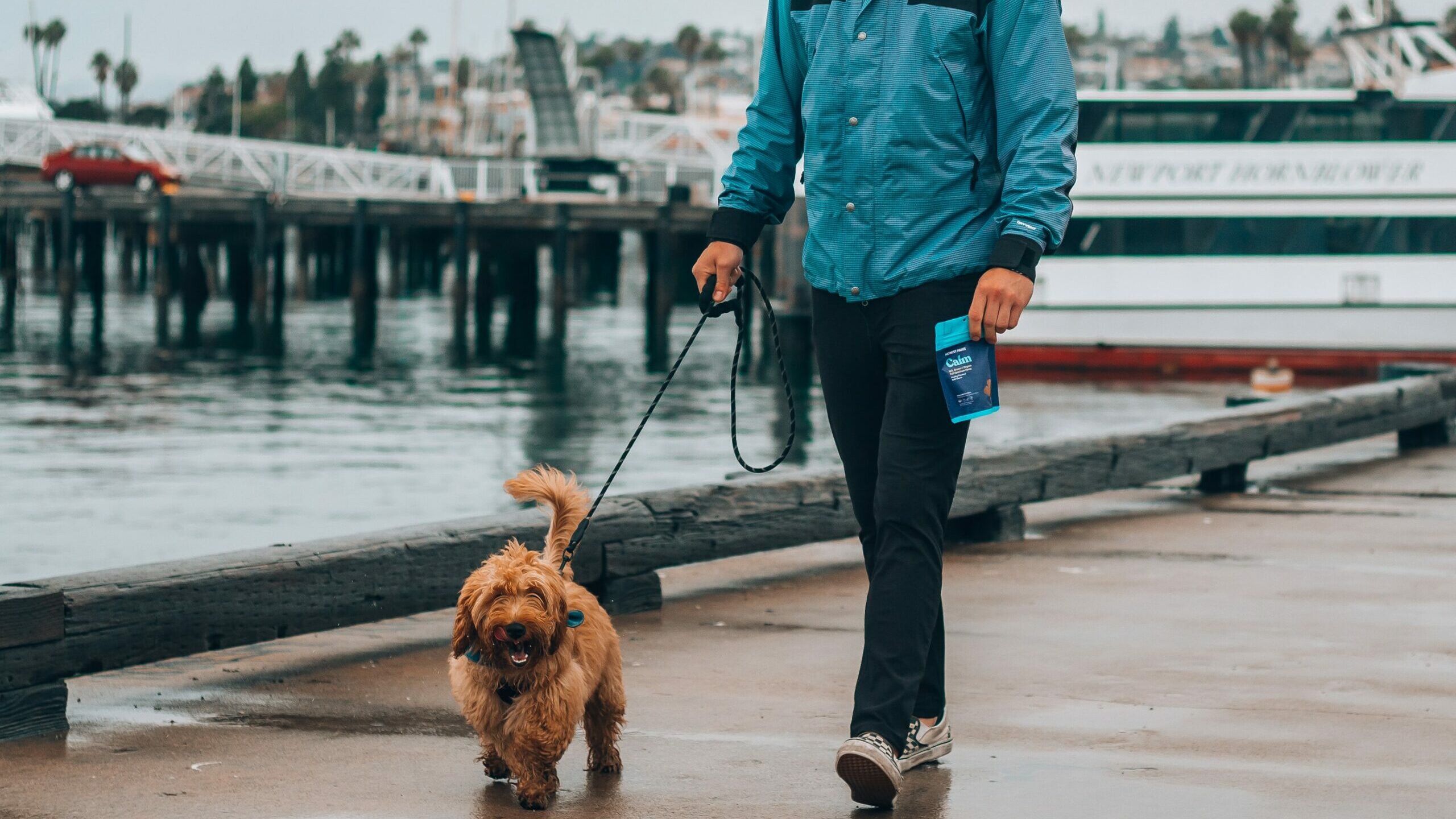 A person walking a dog by some docks.