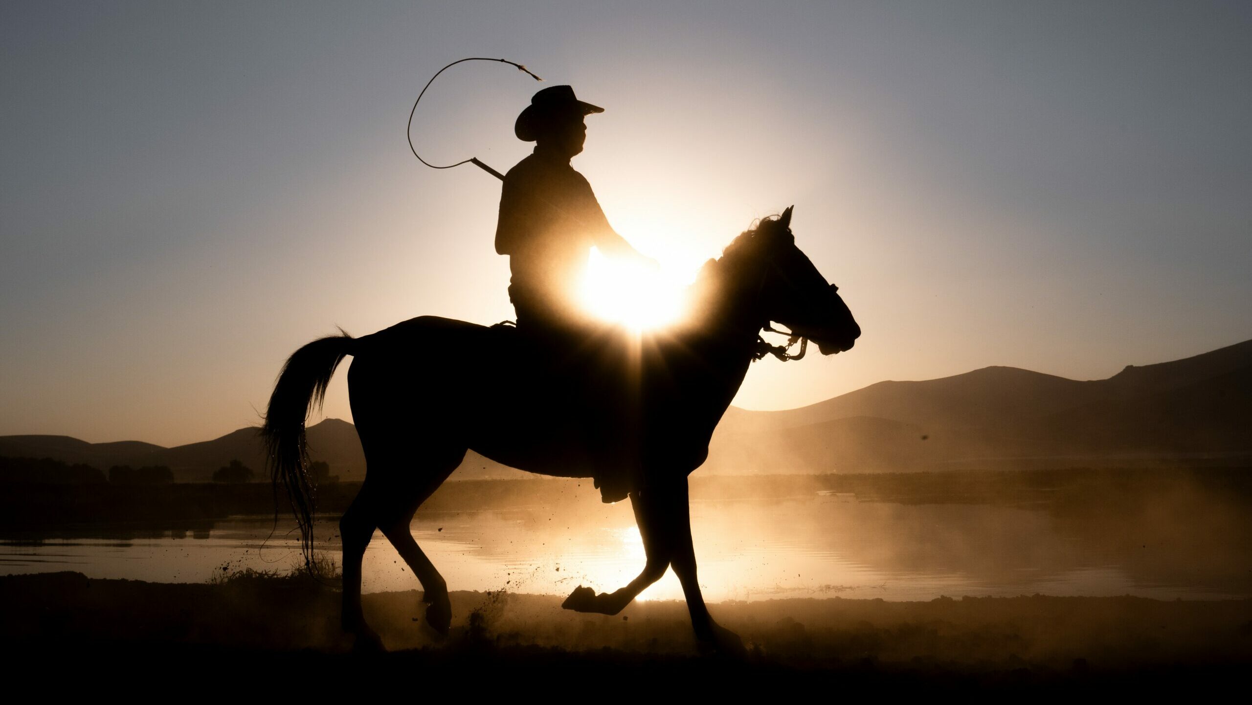 Cowboy riding a horse